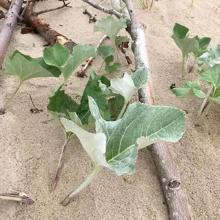 Osrodek Wypoczynkowy 